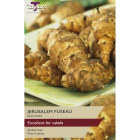 Jerusalem Artichoke - Pack of 2
